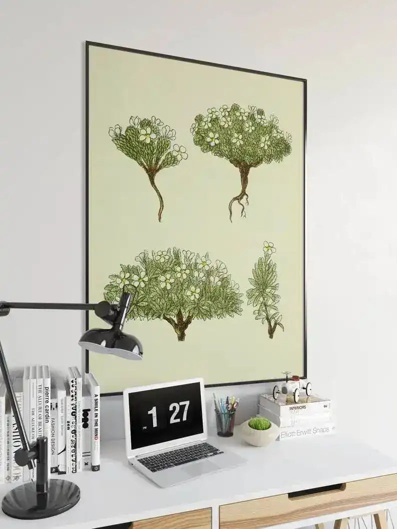 Jasmine Flower Wall Print| Botanical Wall Art
