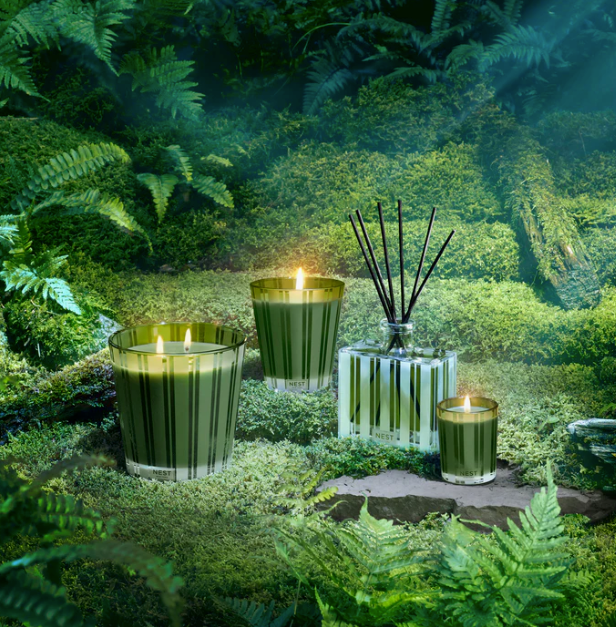 Nest Midnight Moss & Vetiver Classic Candle