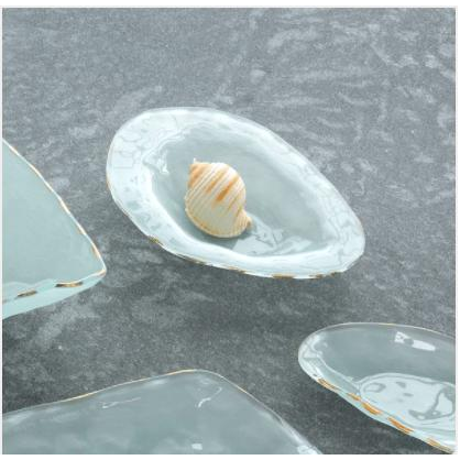 Shells Abalone