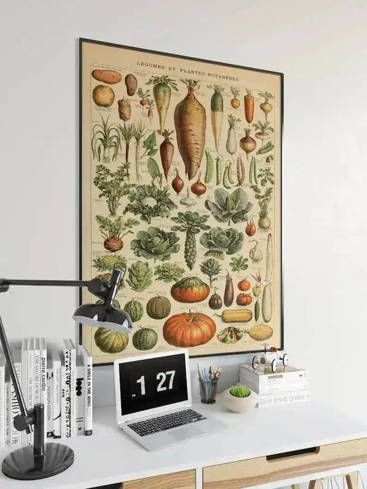 Vegetables Chart| Vegetables Diagram