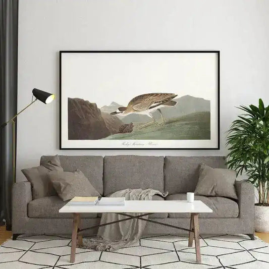 Vintage Bird Art Prints| Bird Poster