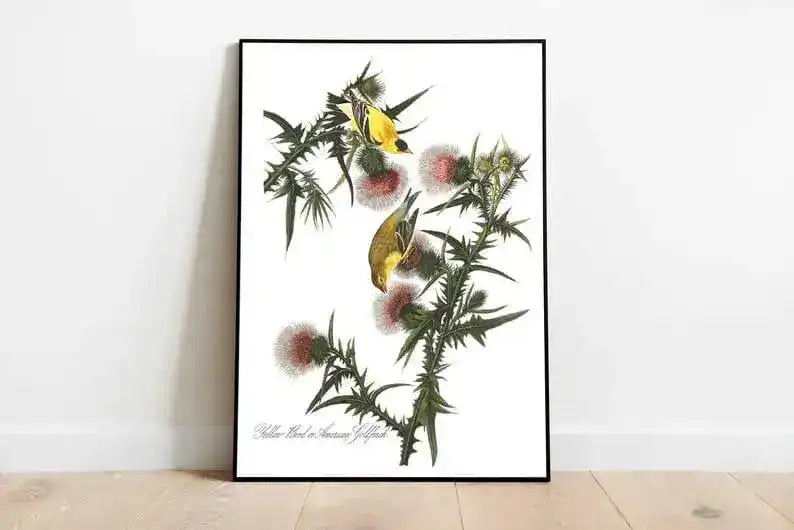 Vintage Bird Art Prints| Bird Poster